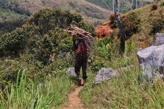Papua Yeni Gine hava tahmini
