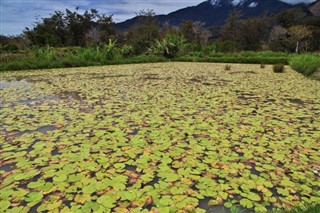 Papua Yeni Gine hava tahmini