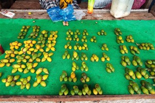 Papua Yeni Gine hava tahmini