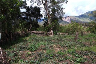 Papua Yeni Gine hava tahmini