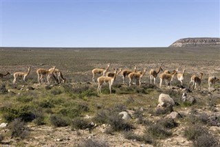 Peru hava tahmini