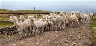 Peru hava tahmini
