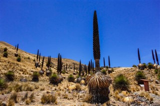 Peru hava tahmini