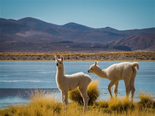 Peru hava tahmini