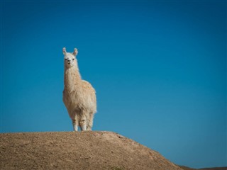 Peru hava tahmini