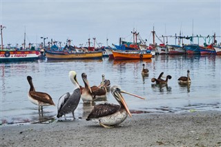 Peru hava tahmini