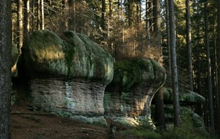 Polen vejrudsigt