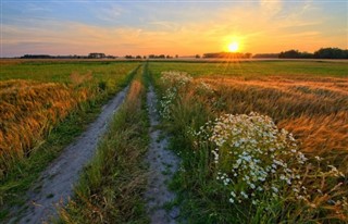 Polonya hava tahmini