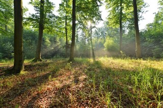 Polen vejrudsigt