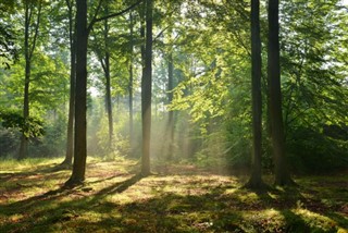 Polen vejrudsigt