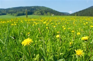 Polonya hava tahmini