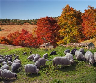 Polonya hava tahmini