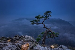 Polen vejrudsigt