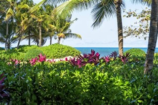 Puerto Rico vejrudsigt