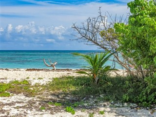 Puerto Rico vejrudsigt