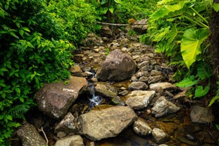 Puerto Rico vejrudsigt
