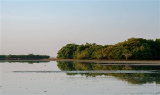 Katar hava tahmini