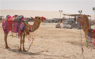 Qatar vejrudsigt