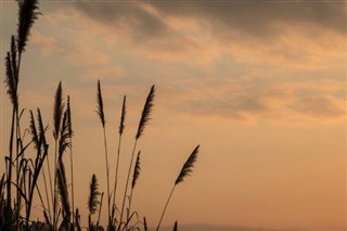 birleşme Hava tahmini