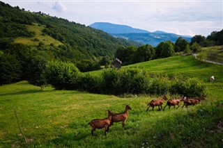 Romanya hava tahmini