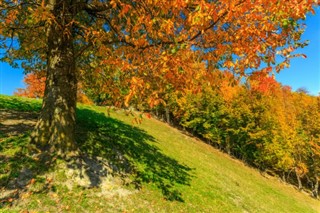 Romanya hava tahmini