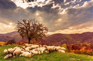 Romanya Hava tahmini