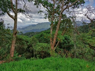 Ruanda hava tahmini