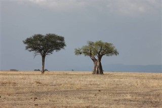 Rwanda vejrudsigt