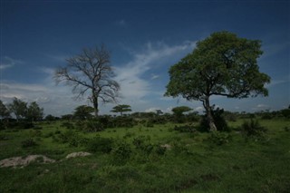Ruanda hava tahmini