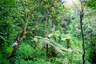 Ruanda hava tahmini