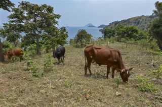 Ruanda hava tahmini