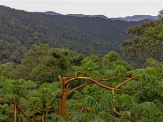 Ruanda hava tahmini