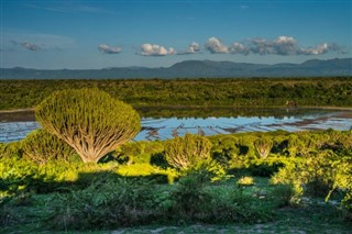 Rwanda vejrudsigt