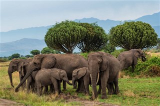 Rwanda vejrudsigt