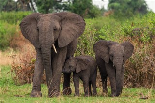 Rwanda vejrudsigt