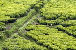 Ruanda hava tahmini