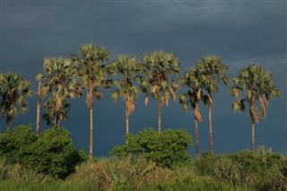 Rwanda vejrudsigt