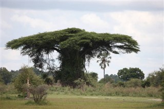 Ruanda hava tahmini