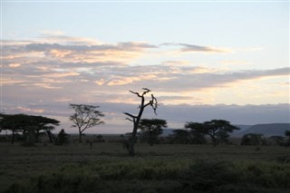 Rwanda vejrudsigt