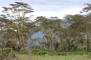Ruanda hava tahmini