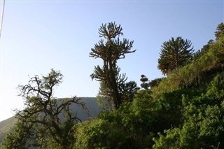 Rwanda vejrudsigt