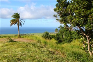 Saint Kitts og Nevis vejrudsigt