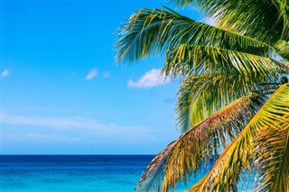 Saint Kitts ve Nevis hava tahmini