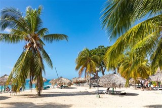 Saint Kitts ve Nevis hava tahmini