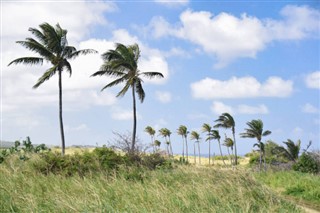 Saint Kitts ve Nevis hava tahmini