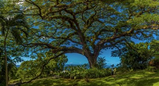 Saint Kitts og Nevis vejrudsigt
