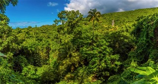 Saint Kitts ve Nevis hava tahmini
