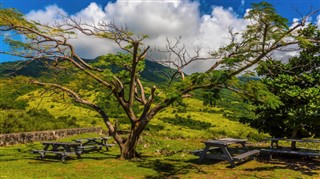Saint Kitts ve Nevis hava tahmini