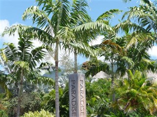 Saint Kitts ve Nevis hava tahmini
