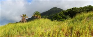 Saint Kitts ve Nevis hava tahmini